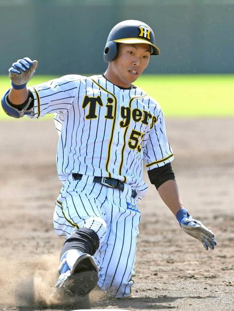 島田がｕ２３侍選出へ １０月コロンビアで開催 第２回ｗｂｓｃ ｕ ２３ｗ杯 タイガース デイリースポーツ Online