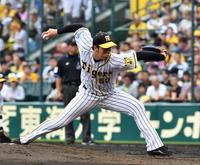 　好投する先発の青柳（撮影・持木克友）