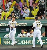 能見（右手前）が同点打を浴びた７回表終了後、ベンチからグラウンドを見つめる金本監督（中央）