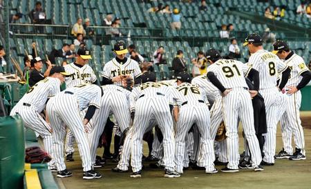 　試合前、円陣を組む金本監督（左）とナイン（撮影・田中太一）