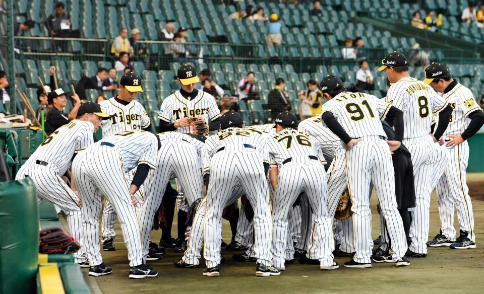 　試合前、円陣を組む金本監督（左）とナイン（撮影・田中太一）