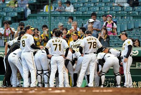試合前、円陣を組む阪神ナイン＝甲子園（撮影・高部洋祐）