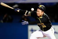 ３回阪神１死一、三塁、阪神・糸原健斗は自打球が顔を直撃する＝神宮（撮影・田中太一）