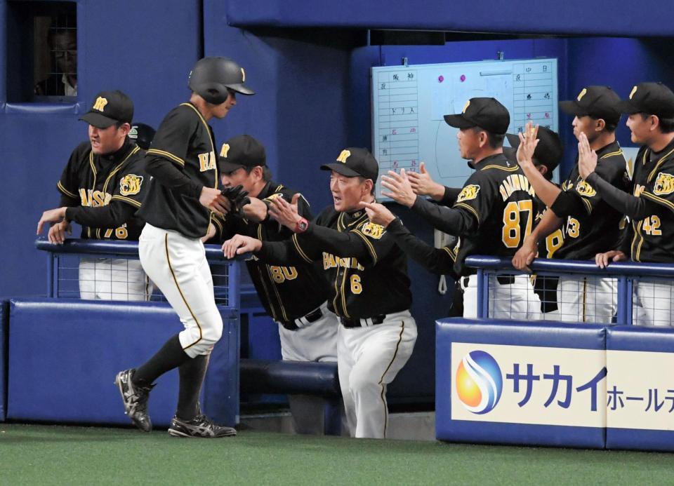 　１１回、金本監督（中央）は生還した植田を迎える（撮影・山口登）