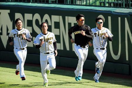 ランニングする（左から）阪神・竹安大知、青柳晃洋、藤浪晋太郎、望月惇志＝甲子園（撮影・山口登）