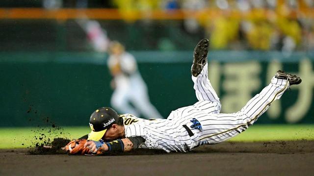 久慈コーチ、北條に“飛び込み禁止令”故障防止＆守備向上へ/タイガース