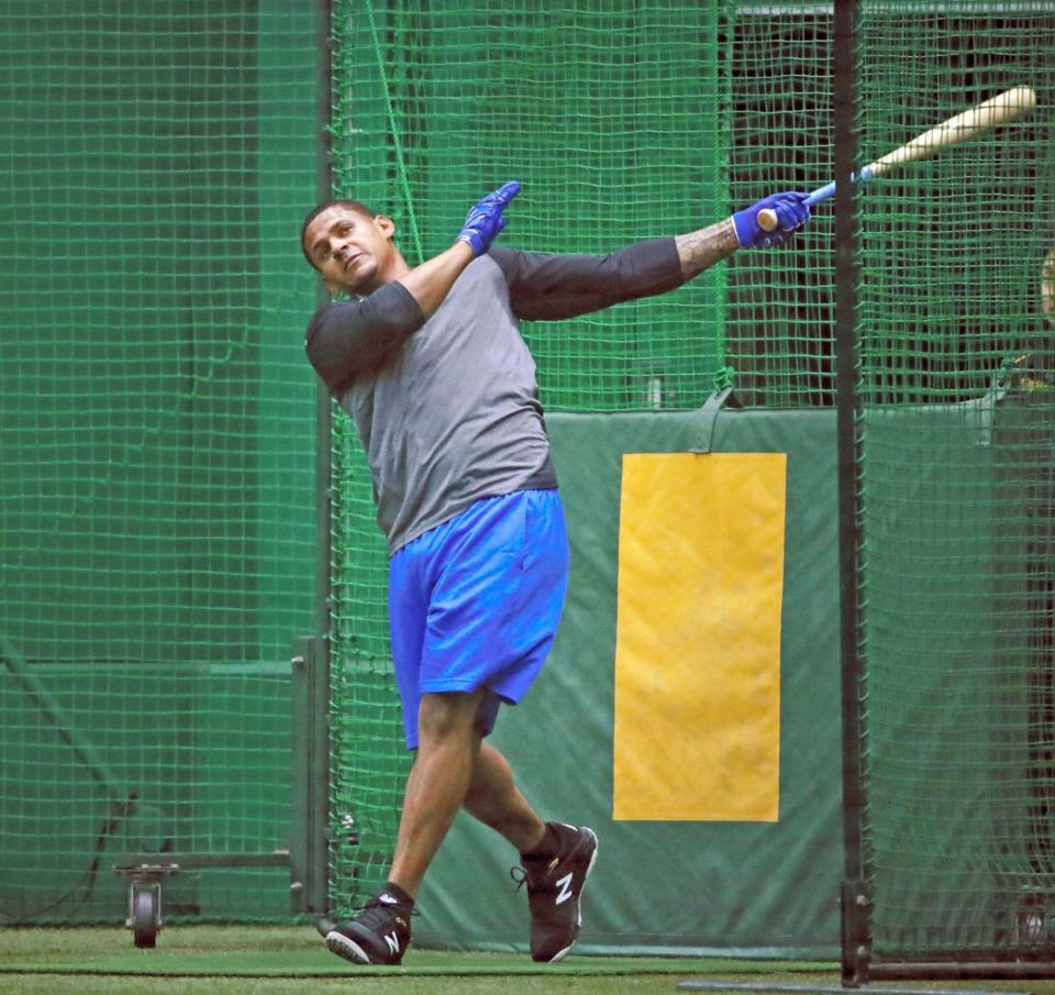 　来日初となるフリー打撃を行うマルテ