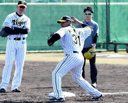 シートノックで三塁を守り、本塁へ送球する阪神　ジェフリー・マルテ＝かりゆしホテルズパーク宜野座（撮影・田中太一）