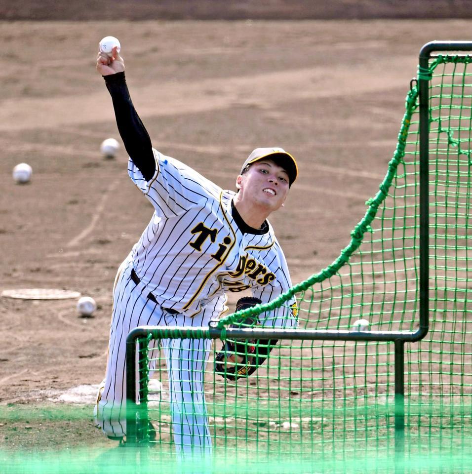 　フリー打撃に登板し、力強いボールを投げ込む馬場