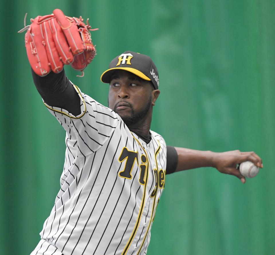 　ブルペンで投球練習する阪神・ガルシア＝かりゆしホテルズボールパーク宜野座