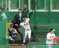 　新井貴浩氏（奥の左から２人目）が見守る中、飯田（手前）から鋭い打球を放つ上本＝かりゆしホテルズボールパーク宜野座