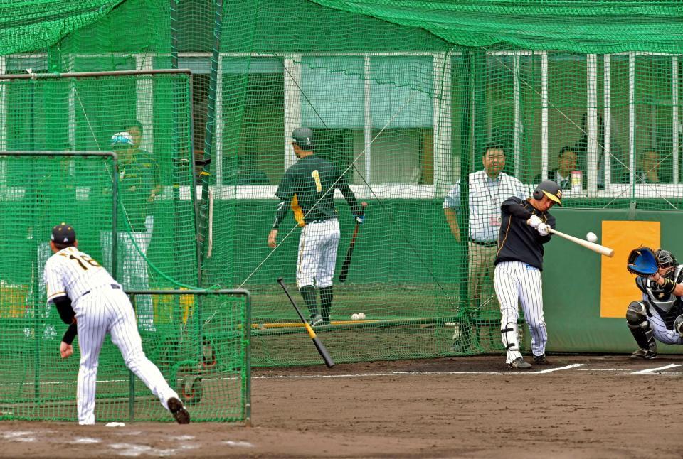 フリー打撃に登板した西（左）から柵越えの打球を放つ近本