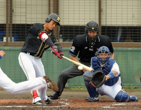 ２回阪神２死、木浪が中前打を放つ＝北谷公園野球場（撮影・堀内翔）