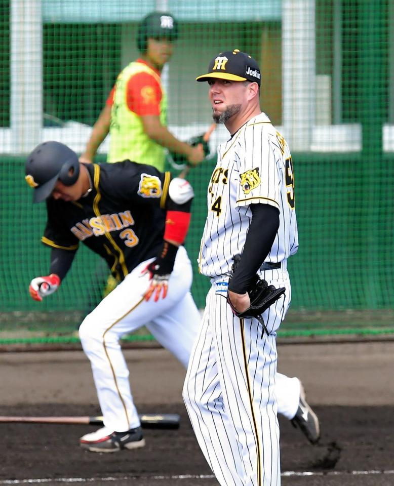 １回紅組２死、阪神・大山悠輔（左）を中飛に打ち取る阪神　ランディ・メッセンジャー＝かりゆしホテルズボールパーク宜野座（撮影・高部洋祐）