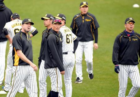 リニューアルされた電光掲示板を見る阪神・糸井嘉男（中央）ら＝甲子園（撮影・田中太一）