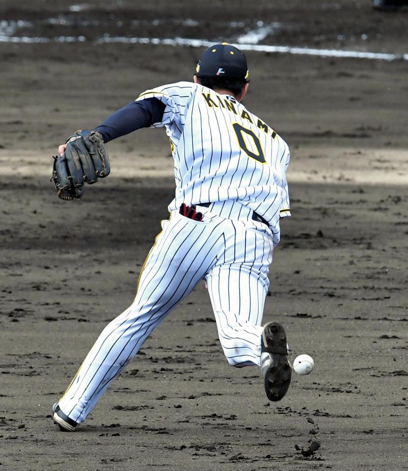 ８回西武１死二塁、西武・秋山翔吾の打球をファンブルする阪神・木浪聖也＝甲子園（撮影・高部洋祐）