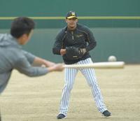 ペッパーで体を動かす阪神　ジェフリー・マルテ＝鳴尾浜（撮影・北村雅宏）