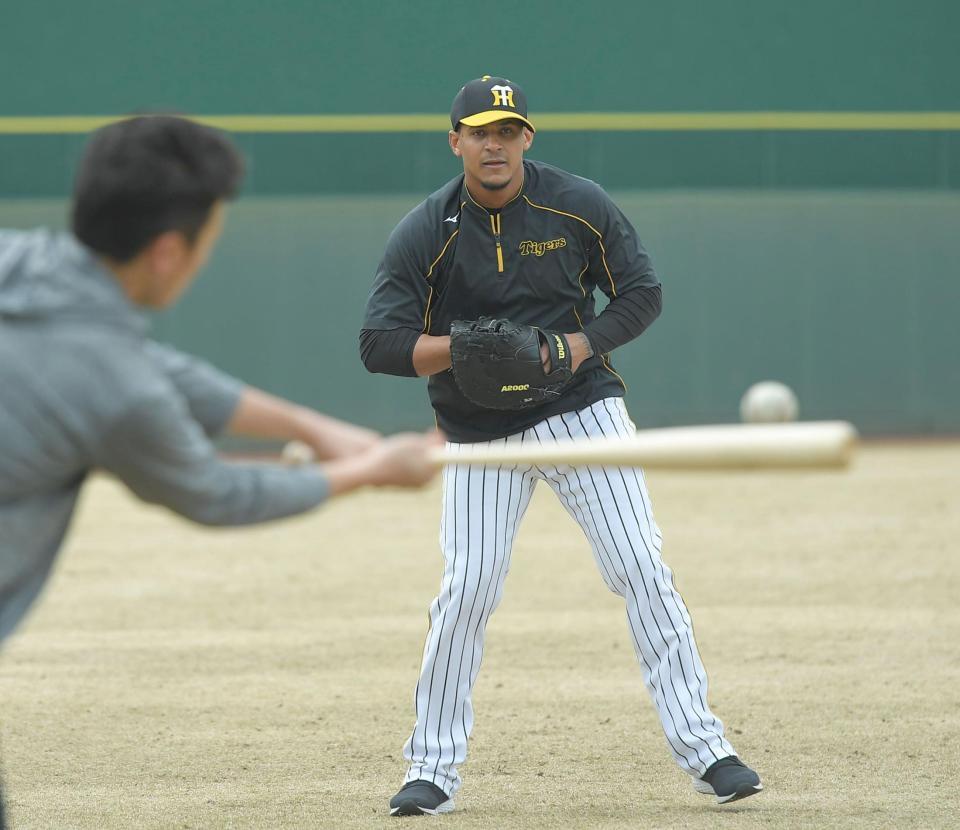 ペッパーで体を動かす阪神　ジェフリー・マルテ＝鳴尾浜（撮影・北村雅宏）