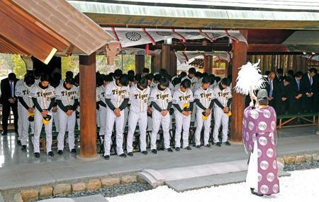 広田神社を参拝して必勝を祈願する阪神ナインら