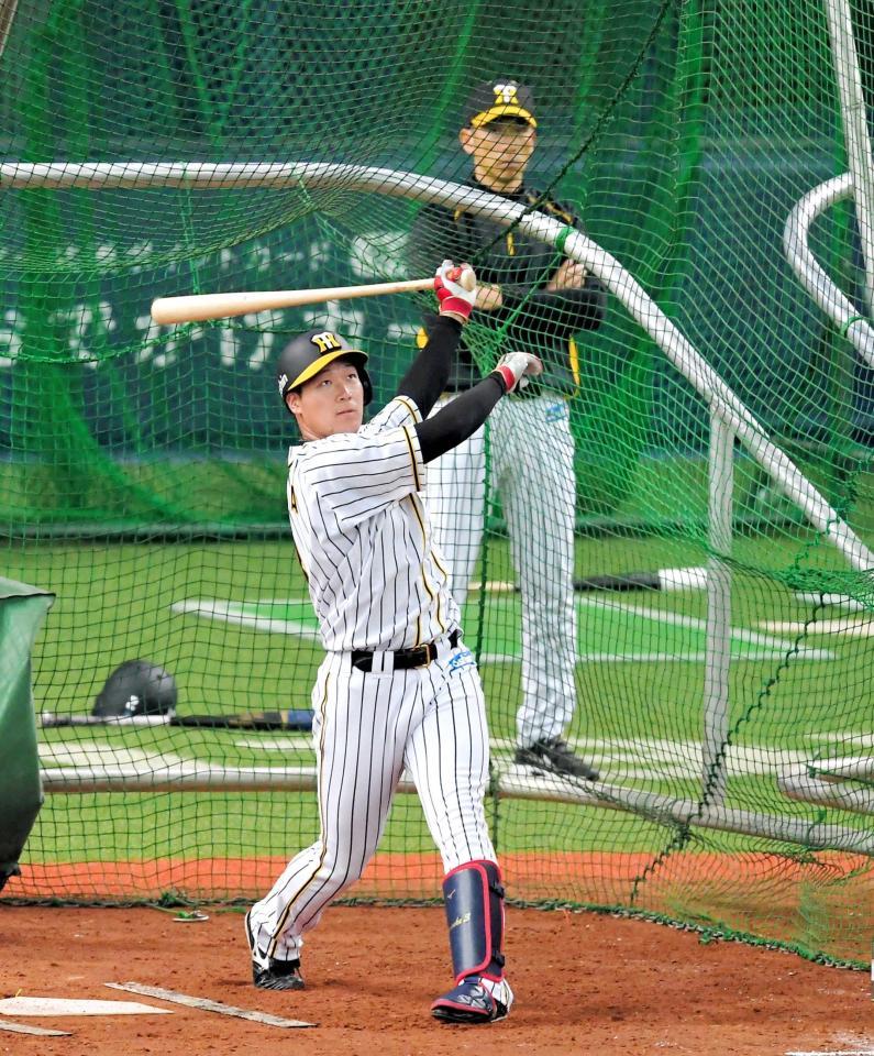 矢野監督（奥）が見守る中、フリー打撃で快音を響かせる大山（撮影・高部洋祐）