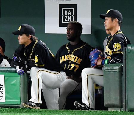 ５回、代打を送られ、ベンチから戦況を見守る阪神　オネルキ・ガルシア（中央）＝東京ドーム（撮影・中田匡峻）
