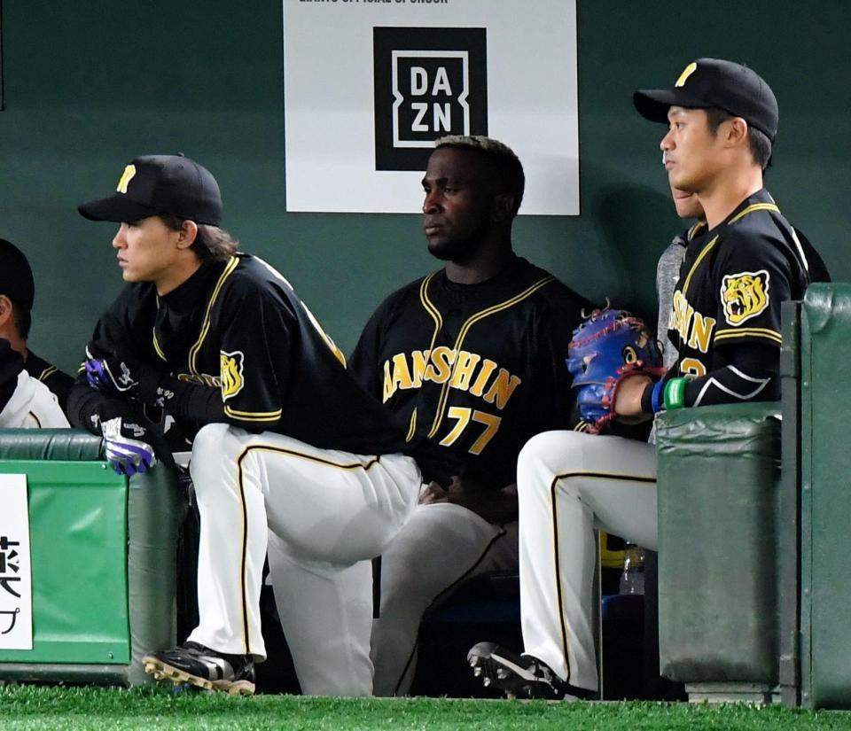 ５回、代打を送られ、ベンチから戦況を見守る阪神　オネルキ・ガルシア（中央）＝東京ドーム（撮影・中田匡峻）