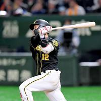 ５回、ソロを放つ坂本（撮影・高部洋祐）