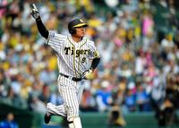 42歳の福留サヨナラ弾！セ通算50000号本塁打！/阪神