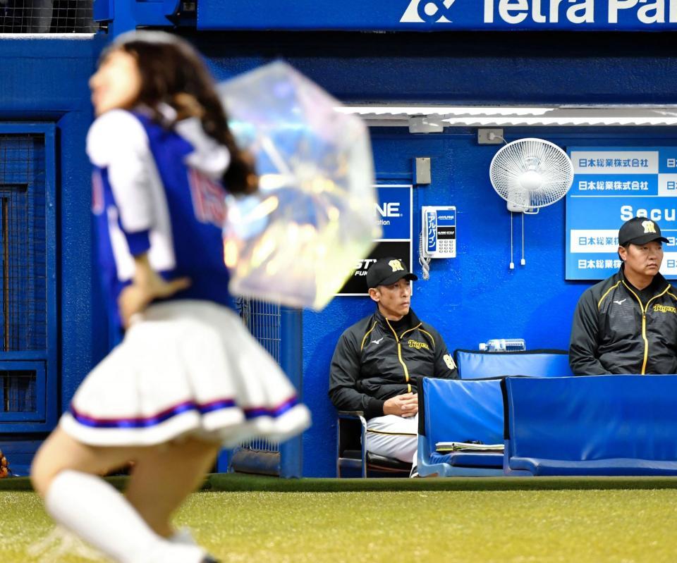 ７回、ヤクルトファンの東京音頭をベンチから見つめる矢野監督（中央）