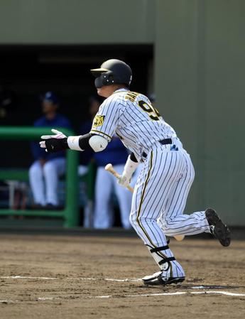 ８回阪神１死、阪神・原口文仁は代打で出場し右飛に倒れる＝鳴尾浜（撮影・山口登）