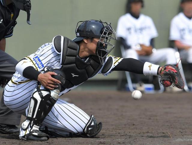 原口が術後初マスク 九回守備で石崎とバッテリー/阪神タイガース