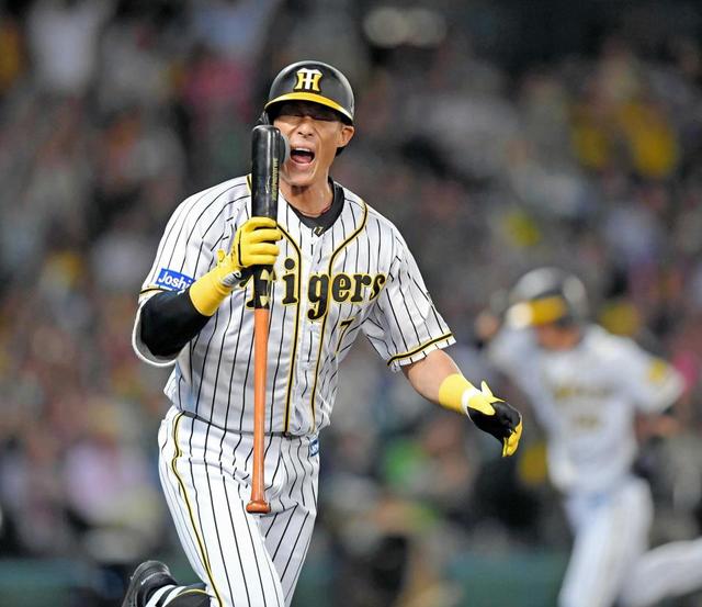 阪神タイガース　糸井　嘉男選手 使用バット、未使用サイン入りバット 2025年最新】Yahoo!オークション -糸井 バットの中古品・新品・未使用