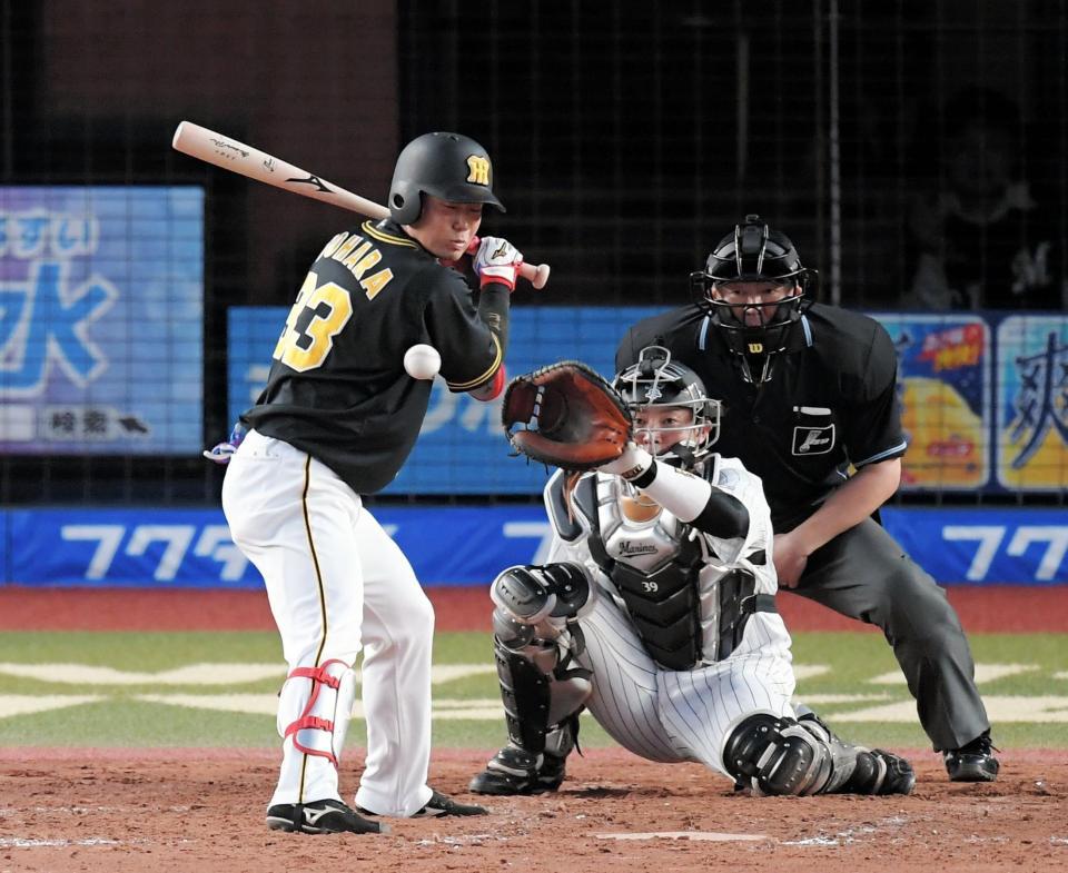 ２回、先制となる押し出し死球を受ける阪神・糸原健斗＝ＺＯＺＯマリンスタジアム（撮影・中田匡峻）