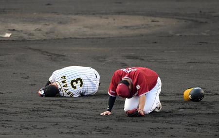 １回、一塁走者の大山は浅村と激突しグラウンドにうずくまる＝倉敷マスカットスタジアム（撮影・山口登）