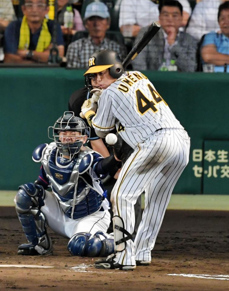 ７回阪神１死満塁、西武・ヒースから押し出しの死球を受ける阪神・梅野（撮影・神子素慎一）