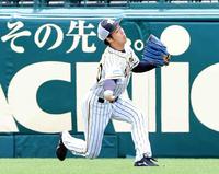 　登板に向け、キャッチボールで汗を流す青柳