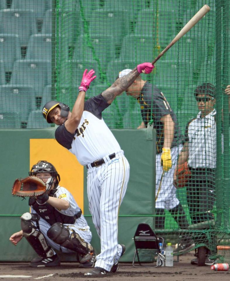 　打撃練習するマルテ