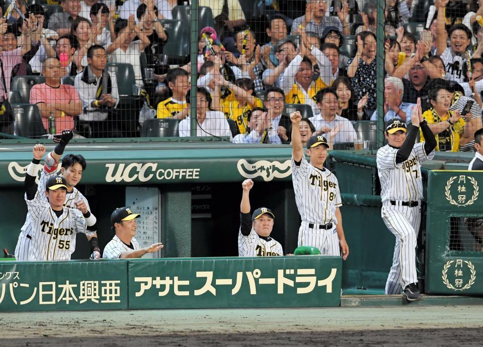 　６回、糸井の勝ち越し打にガッツポーズを見せる矢野監督（右から２人目）＝撮影・高部洋祐