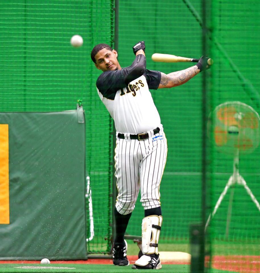 　打撃練習をするマルテ（撮影・田中太一）