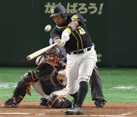 ７回、左越え２ランを放つ阪神・ソラーテ＝東京ドーム（撮影・金田祐二）
