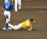 　１回、ビシエドの打球を処理した大山の送球を取り損ねる糸原（撮影・高部洋祐）