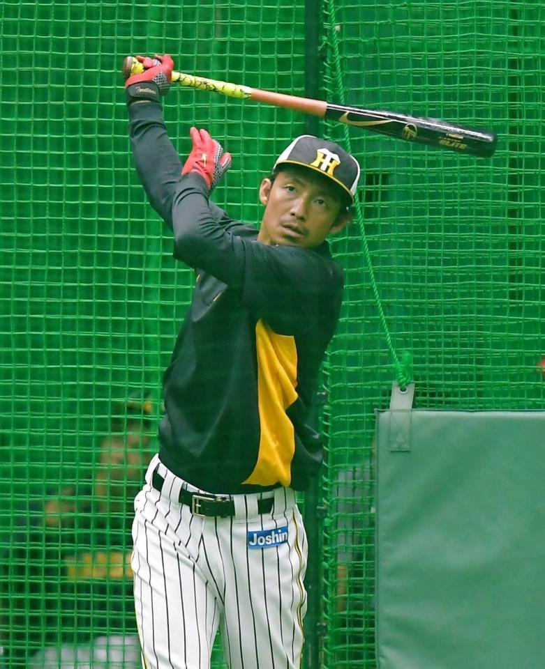 試合前、フリー打撃を行う阪神・鳥谷敬＝甲子園（撮影・高部洋祐）