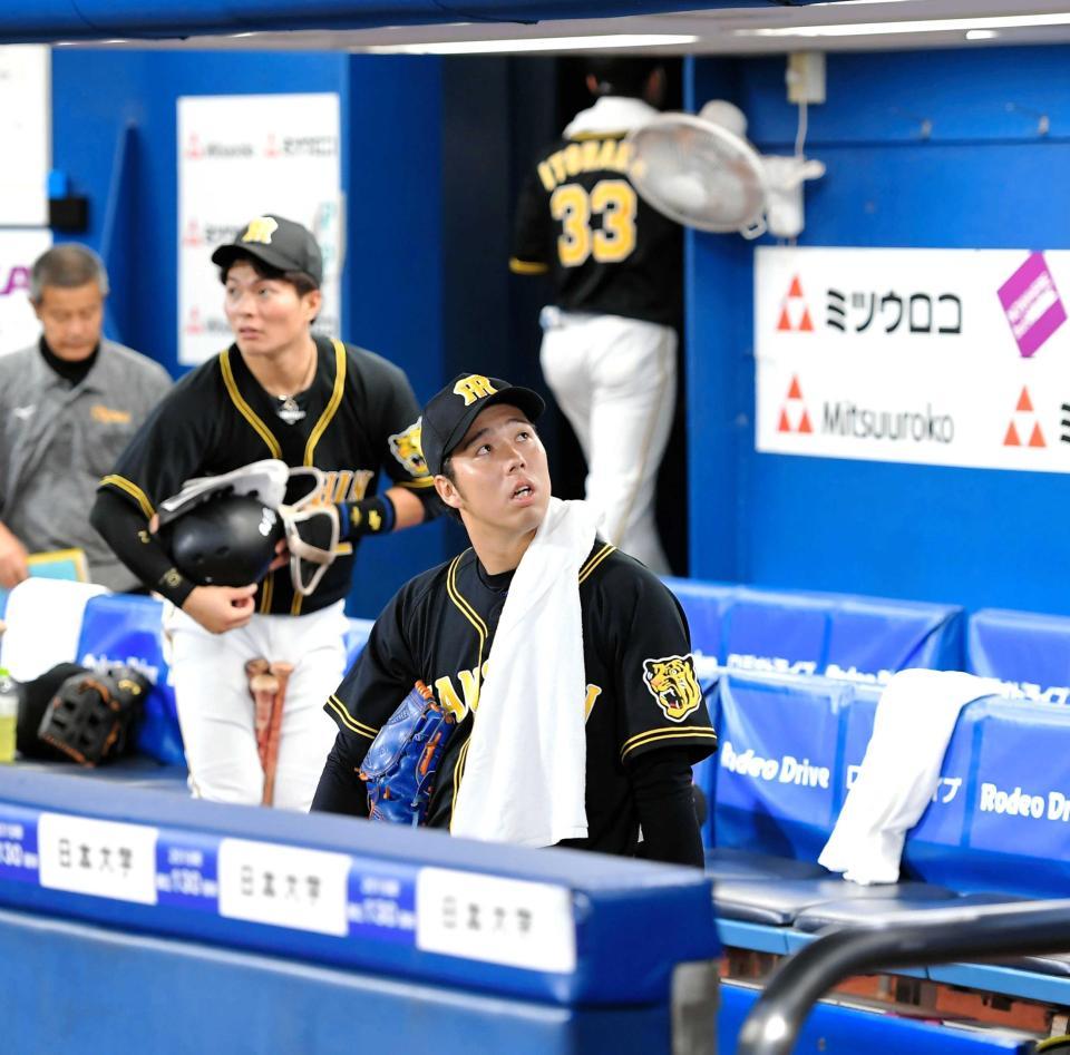 　雷が鳴り響く空を見上げながら引き揚げる青柳（撮影・田中太一）