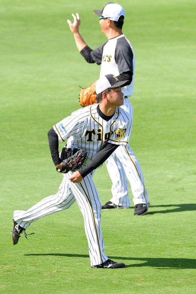 キャッチボールを行う阪神・高橋遥人＝甲子園（撮影・高部洋祐）