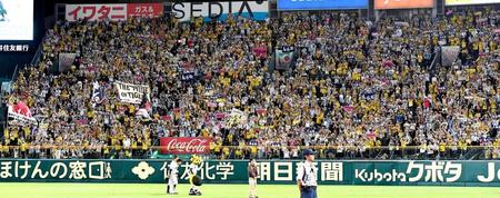 　ライトスタンドの阪神ファン
