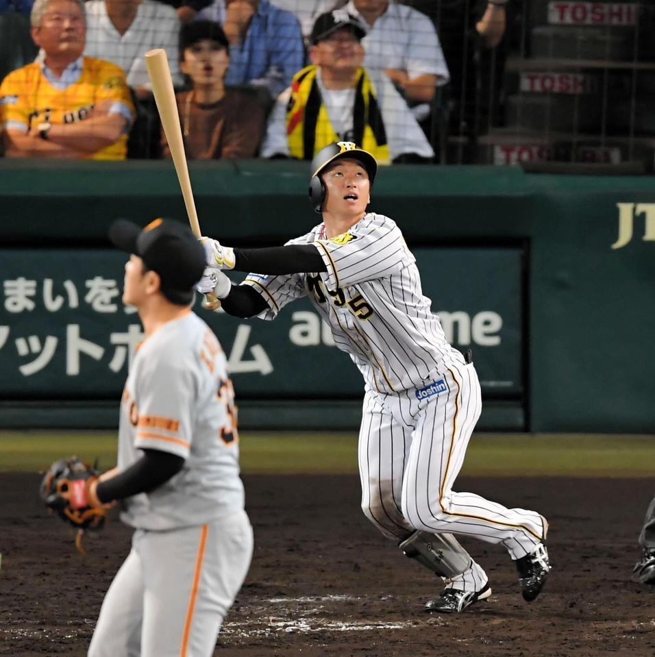 ８回、左前打を放つ阪神・近本光司＝甲子園（撮影・高部洋祐）