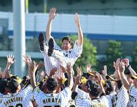 試合後、ナインに胴上げされる阪神・横田慎太郎（中央）＝鳴尾浜（撮影・北村雅宏）