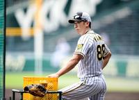 　練習を見つめる矢野監督