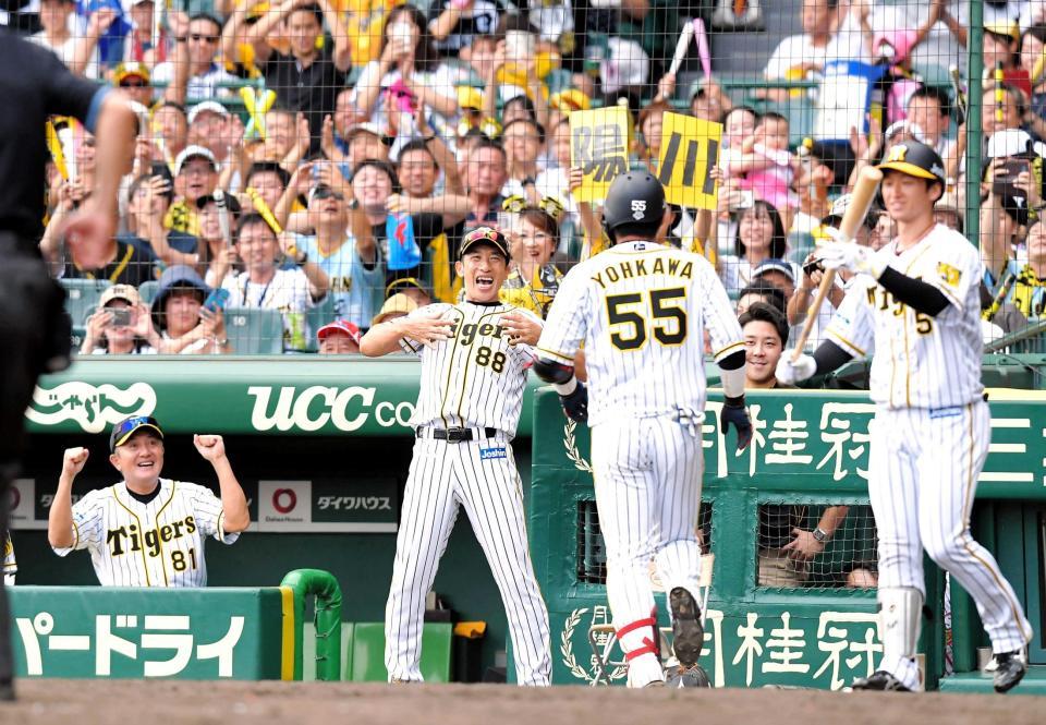 　５回、陽川（５５）が先制ソロを放ち、歓喜のゴリラポーズを決める矢野監督（中央）＝撮影・高部洋祐