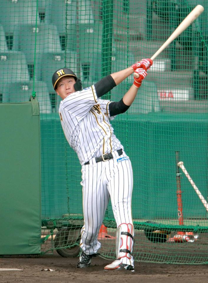 　フリー打撃をする大山